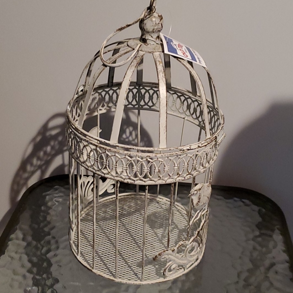 Bird cage-decorative